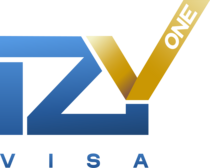 Logo IzyOne Visa